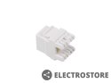 Lanberg Moduł keystone gniazdo RJ45 - LSA kat.5e UTP KSU5-1000