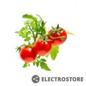 Click And Grow Kapsułki roślinne Click and Grow Plant Pods Pomidory koktajlowe 3-Pack SGR5X3