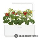 Click And Grow Kapsułki roślinne Click and Grow Plant Pods Pomidory koktajlowe 3-Pack SGR5X3