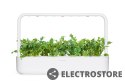 Click And Grow Ogród domowy Click and Grow Smart Garden 9 SG9S1UNI Biały