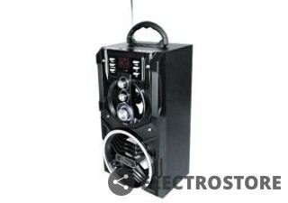 Media-Tech Głośnik PARTYBOX BT MT3150 Karaoke/Bluetooth 5.0/FM/MP3/USB/AUX/LED/USB-C/RMS 18W/PMPO 800W.