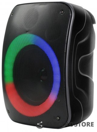 Rebeltec Głośnik Bluetooth STAGE 300