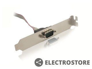 Gembird Gniazdo COM 9PIN (DB9M) na sledziu