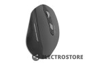 Natec Mysz bezprzewodowa Siskin 2400DPI czarno-szara z cichym klikiem