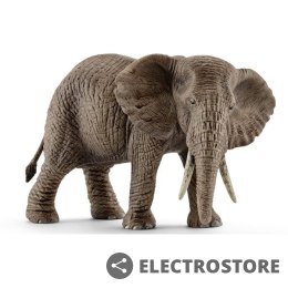 Schleich Figurka Samica słonia afrykańskiego