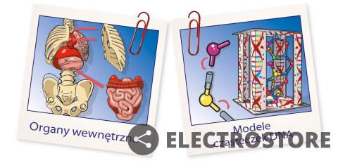 Clementoni Zestaw naukowy Ciało ludzkie mini Clementoni Zestaw naukowy Ciało ludzkie mini