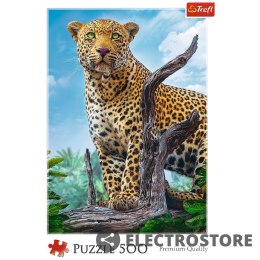 Trefl Puzzle 500 elementów - Dziki lampart