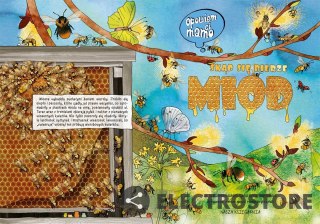 Nasza księgarnia Książeczka Opowiem ci, mamo, skąd się bierze miód
