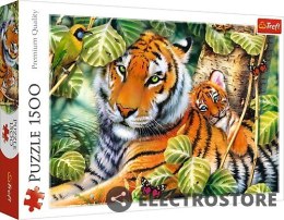 Trefl Puzzle 1500 elementów Dwa tygrysy