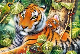 Trefl Puzzle 1500 elementów Dwa tygrysy