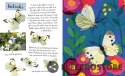 Nasza księgarnia Książeczka Mały atlas motyli Ewy i Pawla Pawlaków