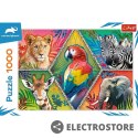 Trefl Puzzle 1000 elementów Egzotyczne zwierzęta Animal Planet