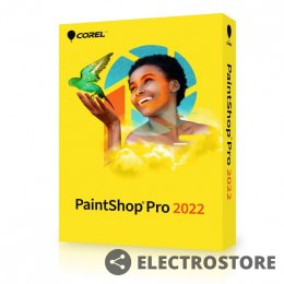 Corel PaintShop Pro 2022 Mini box