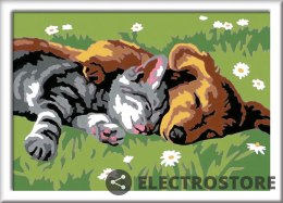 Ravensburger Polska Malowanka CreArt dla dzieci Śpiący kotek z pieskiem