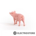 Schleich Figurka Świnia Farm World