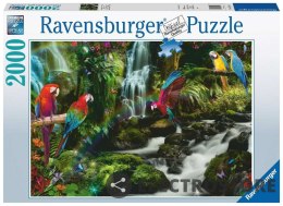 Ravensburger Polska Puzzle 2000 elementów Papugi w dżungli