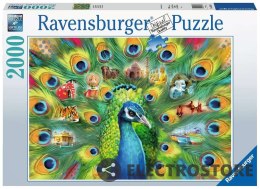 Ravensburger Polska Puzzle 2000 elementów Pawia kraina