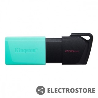 Kingston Pendrive Data Traveler Exodia M 256GB USB3.2 Gen1