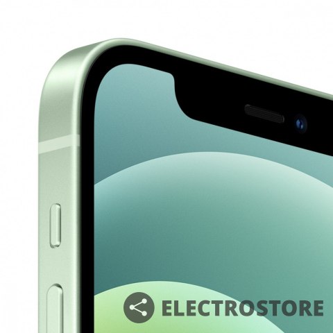 Apple IPhone 12 64GB - Zielony Apple IPhone 12 64GB - Zielony
