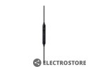 Samsung Słuchawki Type C Earphone Black EO-IC100BBEGEU