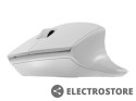 Natec Mysz bezprzewodowa Siskin 2 1600 DPI Bluetooth 5.0 + 2.4GHz, biała