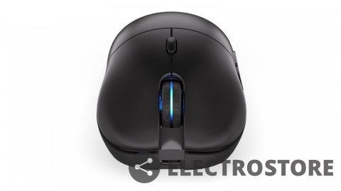Endorfy Mysz GEM Plus Wireless Endorfy Mysz GEM Plus Wireless
