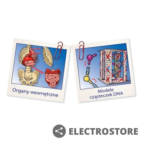 Clementoni Zestaw naukowy Ciało ludzkie mini Clementoni Zestaw naukowy Ciało ludzkie mini
