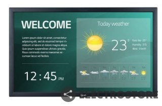 LG Electronics Monitor 22 cale 22SM3G 250cd/m2 16/7