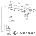 Maclean Uchwyt biurkowy do monitora LCD MC-883 17-32 cale 8kg vesa 75x75 oraz 100x100 Podwójne ramię