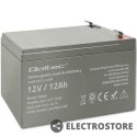 Qoltec Akumulator AGM 12V | 12Ah