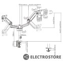 Gembird Ramię/uchwyt na dwa monitory biurkowe, regulowane od 17 cali do 32 cale, obciążenie do 9 kg