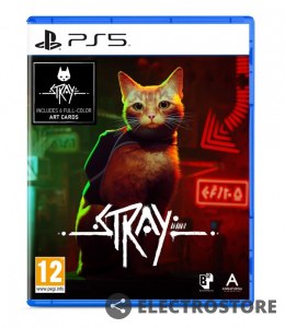 Plaion Gra PlayStation 5 Stray