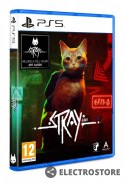 Plaion Gra PlayStation 5 Stray