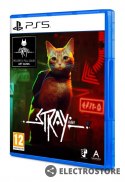 Plaion Gra PlayStation 5 Stray