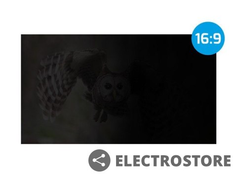 Natec Filtr prywatyzujący Rodo Owl 27 cali 16:9 Natec Filtr prywatyzujący Rodo Owl 27 cali 16:9