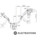 Gembird Ramię regulowane na dwa monitory do montażu na ścianie, od 17 cali do 27 cali, obciążenie do 7kg