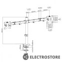 Maclean Uchwyt biurkowy na 2 monitory LCD MC-884 17-32 cale 2x8kg (max 16kg) vesa 75x75 oraz 100x100