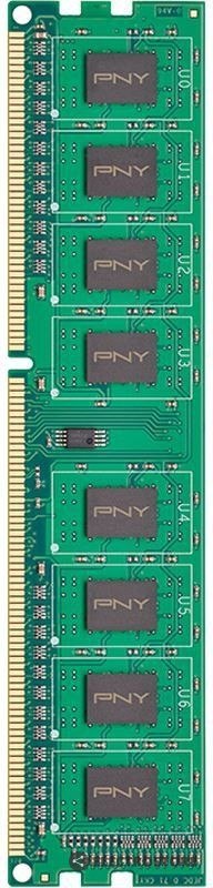 PNY Pamięć 8GB DDR3 1600MHz DIM8GBN12800/3-SB