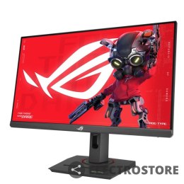 Asus Monitor 25 cali XG259CMS F-IPS FHD 144Hz HDMI USB DP USB-C PIVOT