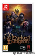 Plaion Gra Nintendo Switch Darkest Dungeon 2