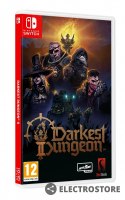 Plaion Gra Nintendo Switch Darkest Dungeon 2