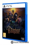 Plaion Gra PlayStation 5 Darkest Dungeon 2