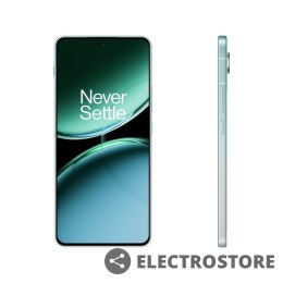 OnePlus Smartfon Nord 4 5G 12/256 GB CPH2663 zielony