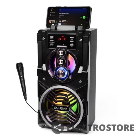 SQUEAK Głośnik Bluetooth 5.1 z karaoke 20W SQ1000 Beatboxer