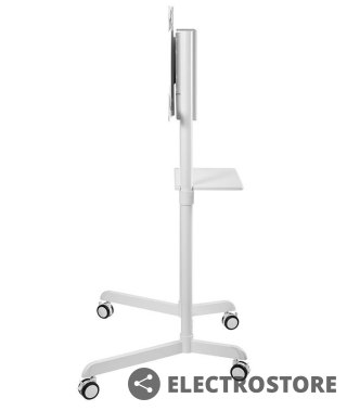 Neomounts Mobilny stojak podłogowy NS-M1250 biały