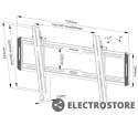 Neomounts Uchwyt ścienny WL35-550BL16 40-75 cali