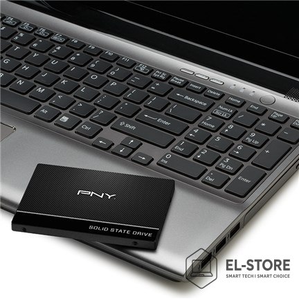 PNY Technologies Dysk SSD PNY CS900 SATA 2.5" 250GB