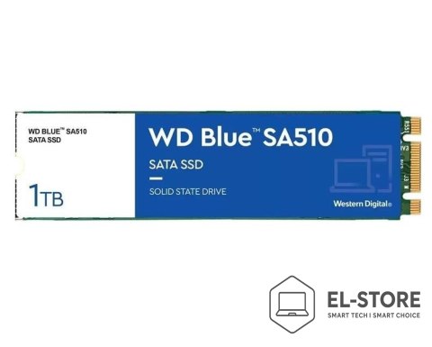 WD SSD SATA M.2 1TB 6GB/S/BLUE SA510 WDS100T3B0B WDC