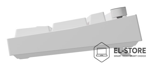 GENESIS GENESIS NKG-2300 klawiatura Uniwersalne USB QWERTY Angielski Biały