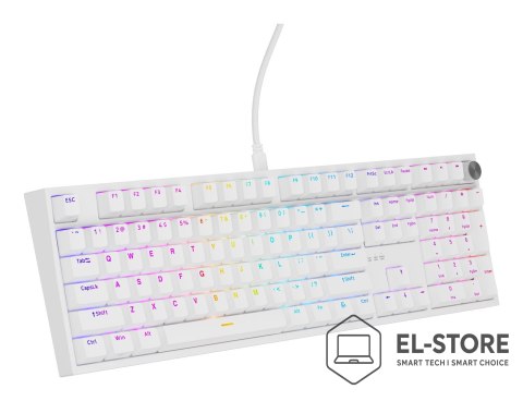GENESIS GENESIS NKG-2300 klawiatura Uniwersalne USB QWERTY Angielski Biały